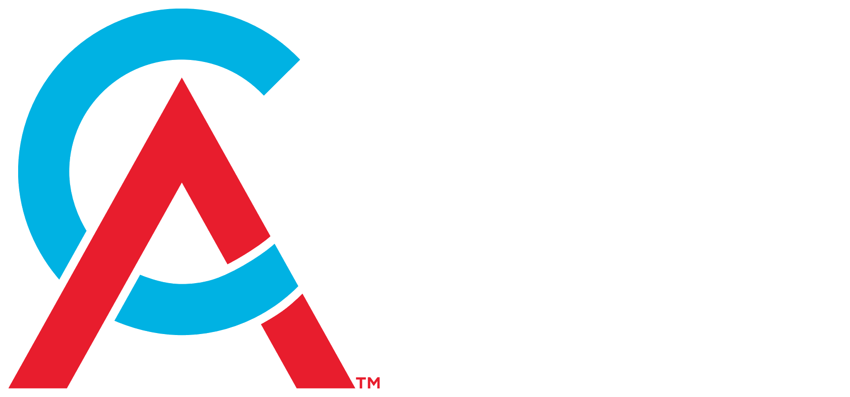 Chartered Accountants ANZ